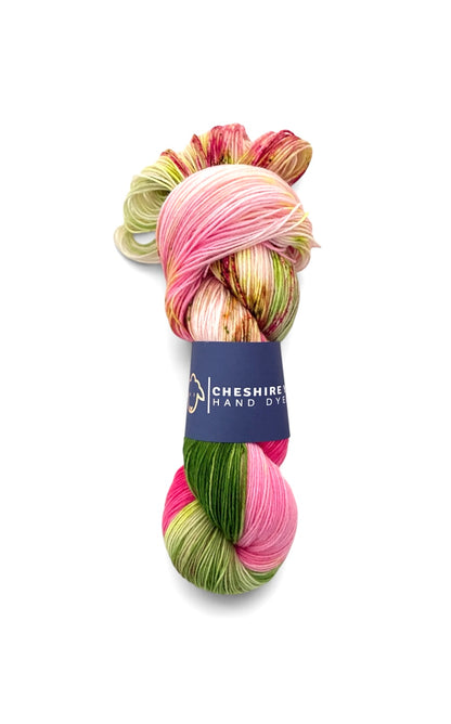 Twister - Sock Weight - 75/25 Superwash Merino & Nylon