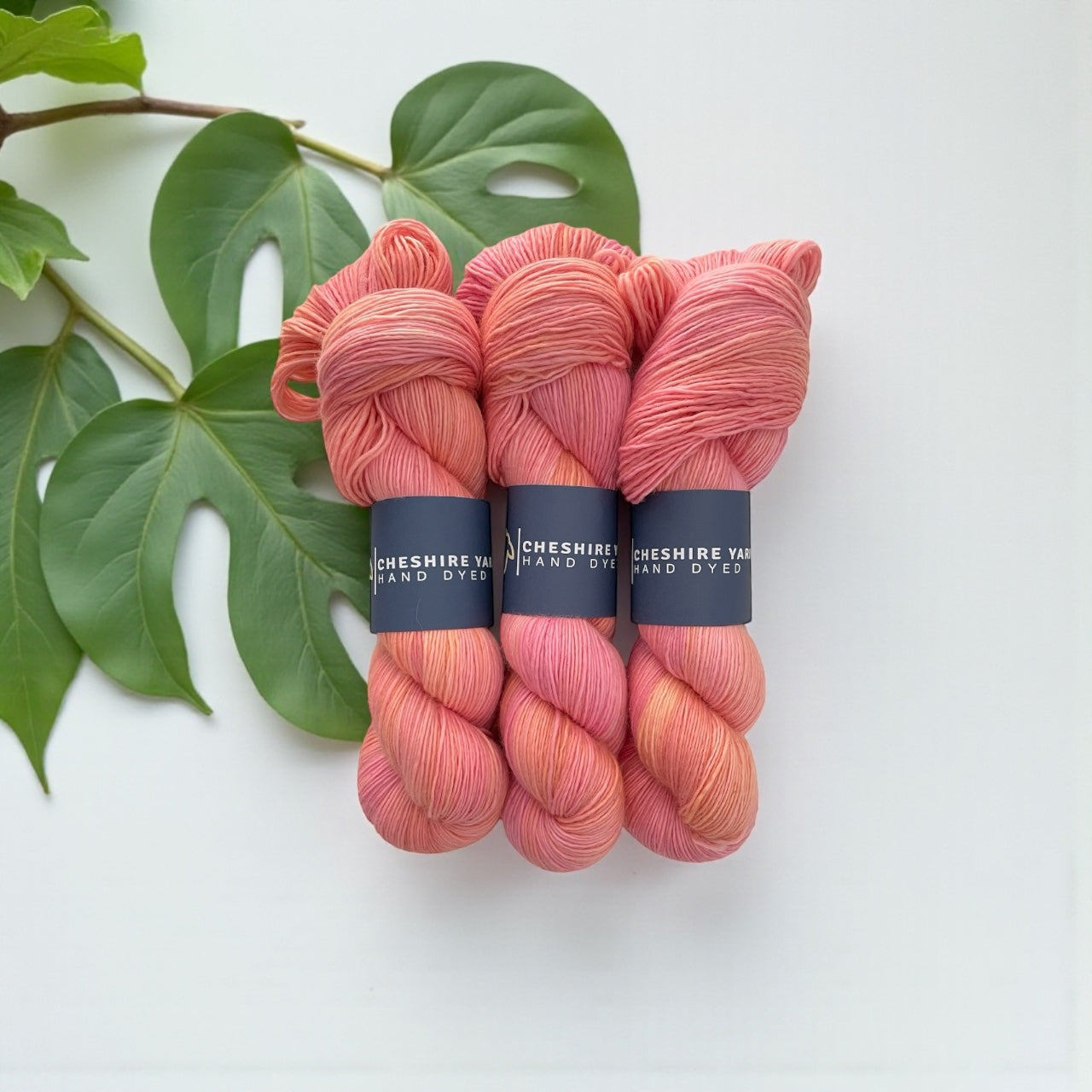 Sherbet Scoop -  Fingering Weight. - Single Ply 100% SW Merino