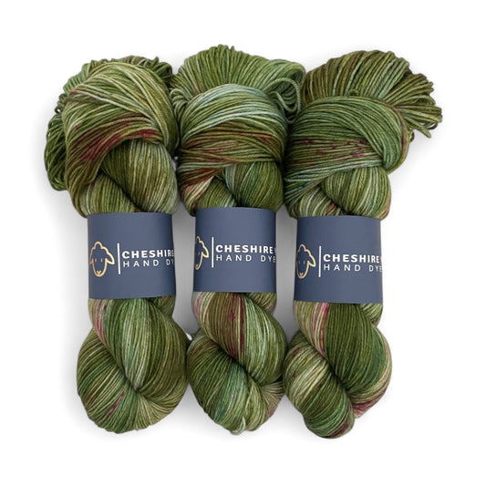 Bramble Patch -  Fingering/Sock Weight - SW Merino & Nylon