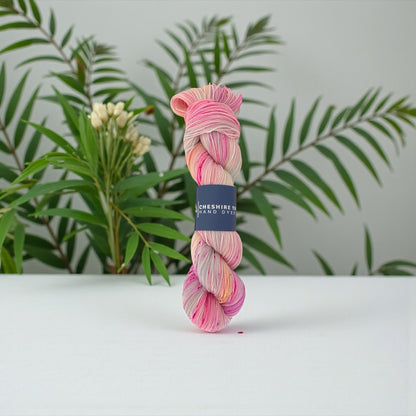 PETAL DUST - Fingering/Sock Weight - SW Merino & Nylon