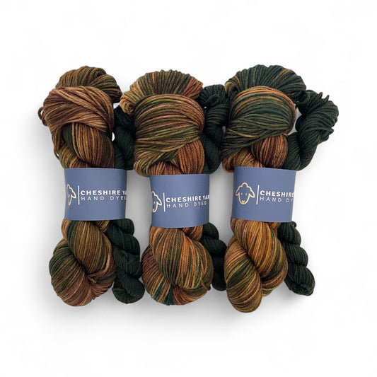 Woodland Wonder - SW Merino & Nylon Double Knit Weight - 100g + 20g