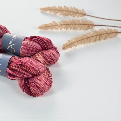 One Of A Kind - Fingering/Sock Weight - SW Merino & Nylon