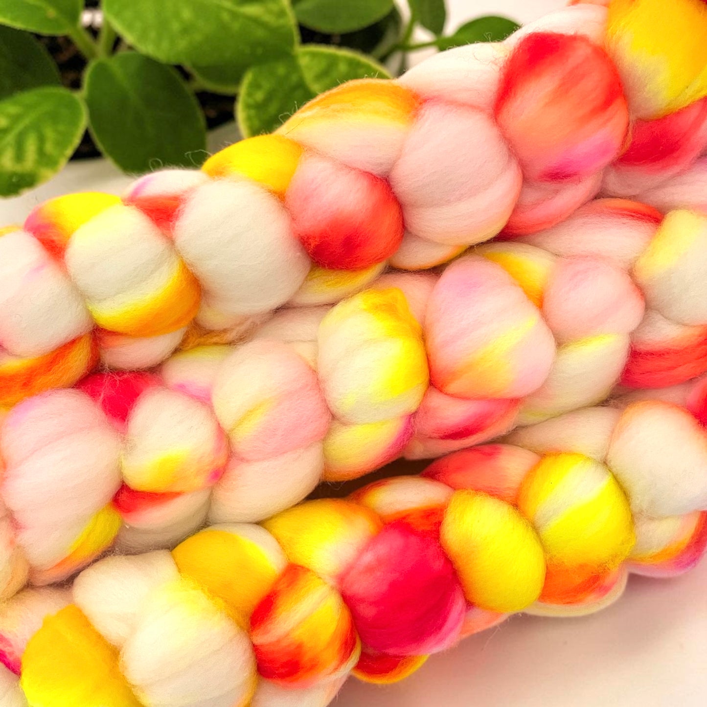 Tequila Sunrise - 100% SW Merino Spinning Fibre/Fiber