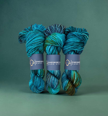 Enchanted Forest - Chunky Weight - 100%  SW Merino