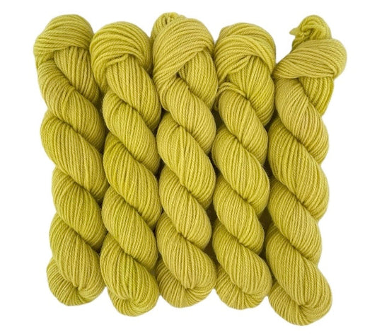 Five skeins of yellow merino and blue faced Leicester non-superwash yarn on a white background. Hand dyed DK