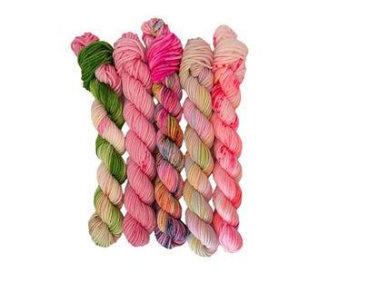 Mini Skein Set - DK Weight